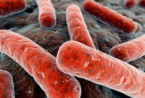 Туберкулез почек: как проявляется, что является причиной, профилактика и диагностика