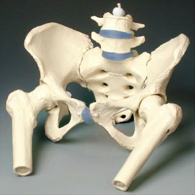 Тянет правый бок выше тазовой кости: провоцирующие факторы, развитие патологии, характерные признаки