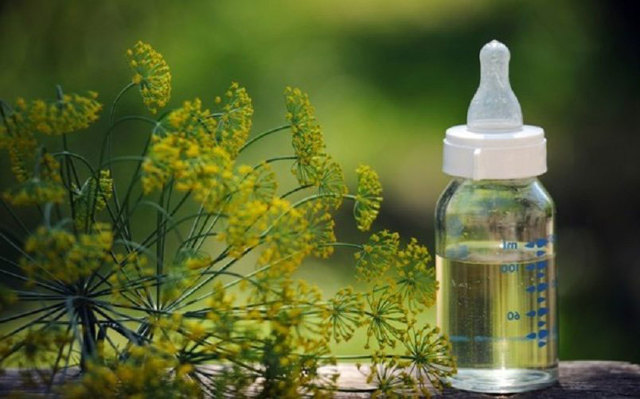 Укропная вода для новорожденного и кормящей мамы: применение и инструкция по приготовлению