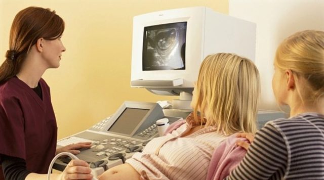 УЗИ при беременности: на каких сроках делают, показания к внеплановому проведению