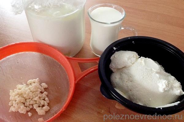 В чем заключается польза молочного гриба, есть ли вред от употребления продукта?