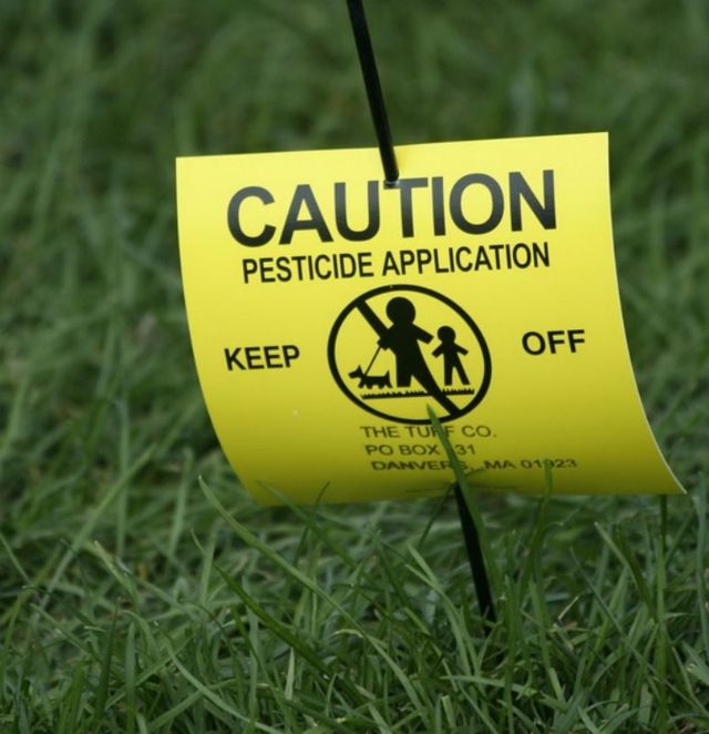 Вред пестицидов: связь между употреблением яда и развитием неврологических заболеваний