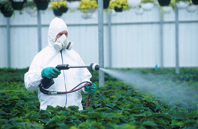 Вред пестицидов: связь между употреблением яда и развитием неврологических заболеваний