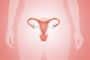 Женский вагинизм: причины проявления, степени и лечение патологии