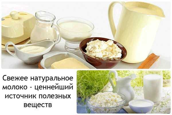 Жирные молочные продукты: польза и вред, сравнение с обезжиренной пищей