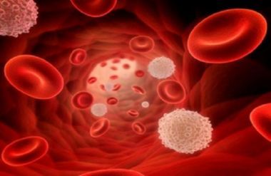 Анализ крови при остеохондрозе: общий и биохимический, как правильно подготовится, когда назначается, что показывает, рекомендации врачей