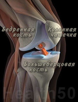 Артроз коленного сустава: симптомы, причины, диагностика и лечение в домашних условиях