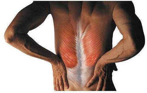 Миорелаксанты для снятия мышечных спазмов при остеохондрозе: названия, список, механизм действия и терапевтический эффект