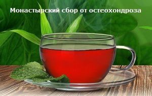 Монастырский чай от остеохондроза: правда или развод, сбор, состав продукта, рецепты приготовления, противопоказания, отзывы