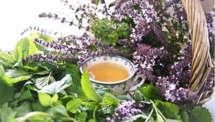 Монастырский чай от остеохондроза: правда или развод, сбор, состав продукта, рецепты приготовления, противопоказания, отзывы