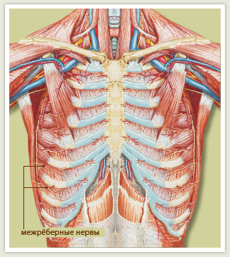 Остеохондроз грудной клетки - как лечить отдел позвоночника: клинические проявления, причины болей, диагностика и терапия