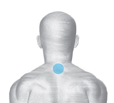 Перцовый пластырь - инструкция по применению при остеохондрозе шейного отдела: противопоказания и ограничения, состав средства, аналоги и отзывы
