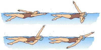 Плавание при остеохондрозе шейного отдела, как правильно плавать: польза и вред, когда противопоказаны водные упражнения, нюансы и предосторожности