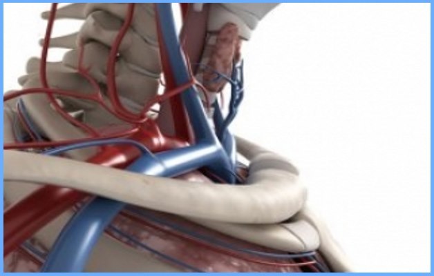 Синдром позвоночной артерии при шейном остеохондрозе: причины, как проявляется, диагностика и лечебные мероприятия, профилактика и рекомендации врачей