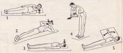Упражнения для плечевого пояса и гимнастика сустава: выбор комплекса для лечения заболевания, рекомендации и советы врачей