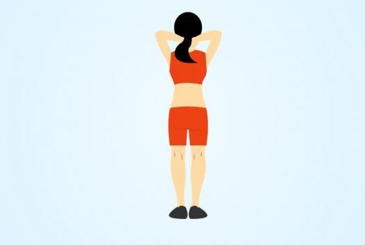 Упражнения для плечевого пояса и гимнастика сустава: выбор комплекса для лечения заболевания, рекомендации и советы врачей