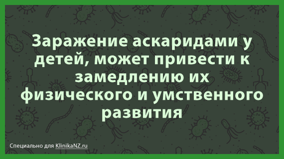 Аскариды у детей: пути заражения, 8 групп проявлений, 3 способа лечения