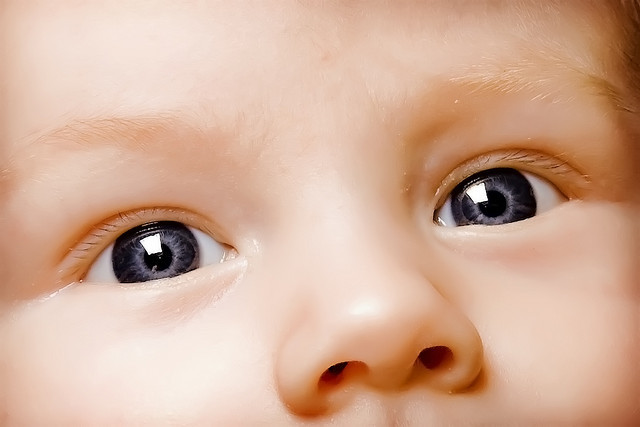 Капли в глаза новорожденным: 10 правил закапывания от врача-офтальмолога
