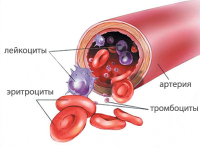 Низкий гемоглобин у ребенка: основные причины, 4 типа проявления и лечение анемии
