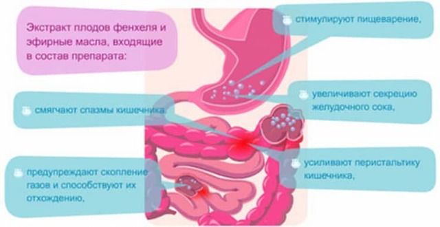 Плантекс для новорожденных: пищеварительная система, применение и отзывы