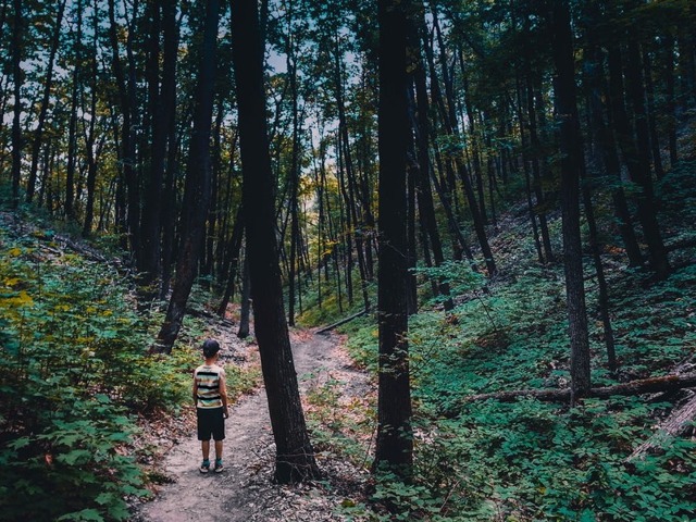 Ребёнок потерялся в лесу: как искать и предотвратить: советы для родителей
